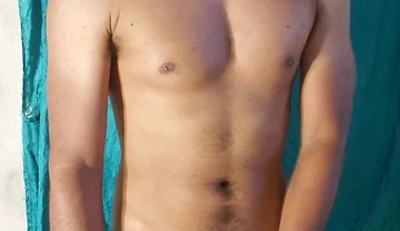 Male Stallion