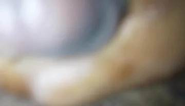 New Video