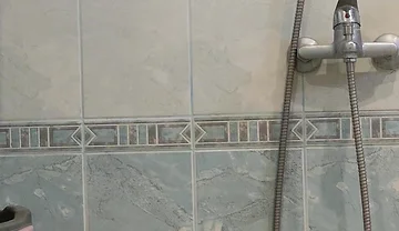 Shower Dick 2