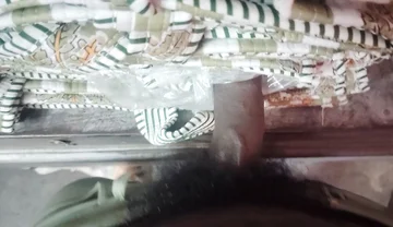 Desi Solo