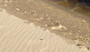 Beach Walk