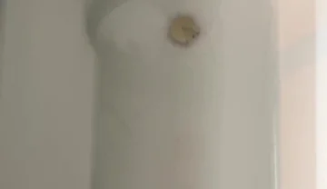 Couldn’t Hold Myself Anymore