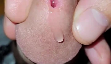Cock Inspection