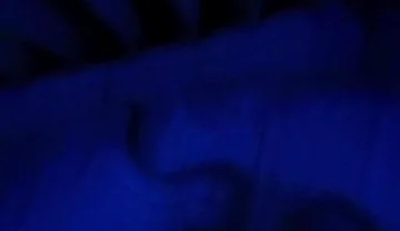 Blue Romance, Blowjob From a Sensual Blonde