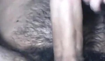 Great Suckling Lamb, Homemade Amateur Argentine. 20 Centimeters