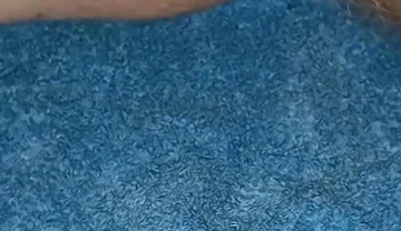 Cookie Cum Shot