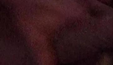 Lonely Angry Dick