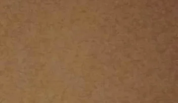 Lets Have Cum Together