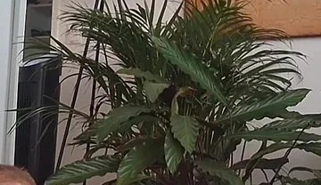 A Bit of Tantra Love Massage. Skinny Sexy Guy Fuck Daddy Ass