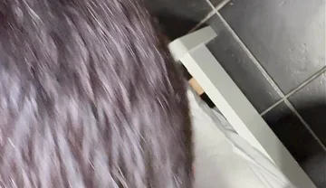 Fucked by the Black Cock