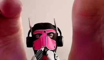 Paws Took Over Your Screen