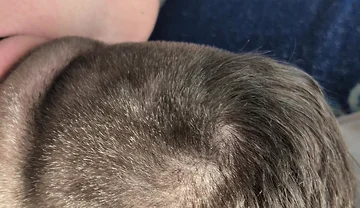 Hairy Stepdaddy Rimming and Railing His Fuck Toy and Cums a Lot