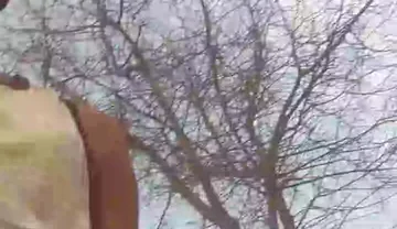 Native Masturbation Shaking My Penis Vigorously in the Jungle.