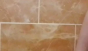 I Made a Video in the Toilet While Taking a Shower.