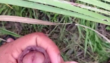 Masturbating in the Sugarcane Field