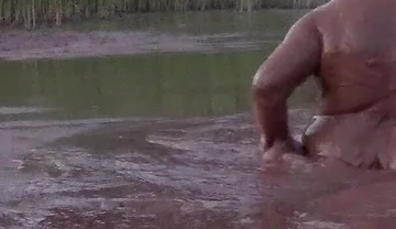 Mud Bath in Deep Quarry Mud Pond