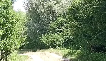 Risky Cock Jerking on an Abandoned Field / Risky Solo Outdoors