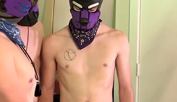 Pup Erebus in the Sling