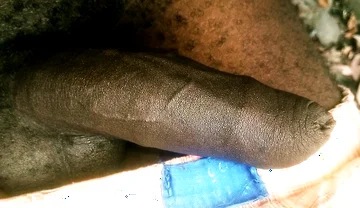 Great Massaging