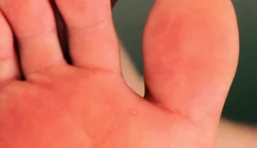 Sniff & Submit Foot Worship Trainer