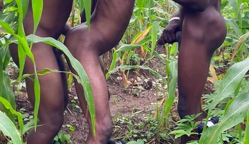 How I Had Sex with This Thuggish Guy with Huge Long Dick Inside a Corn Farm Land