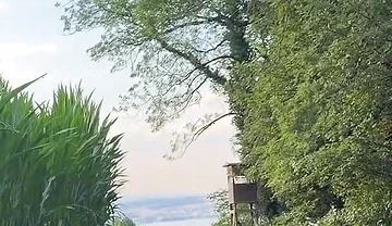Risky Bwc Stroking Outdoors on Meadow with Lake View - Big Cumshot