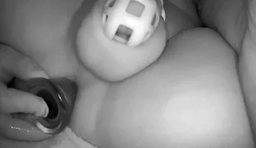 Toy in My Ass