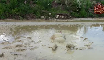 Me Playing in Deep Light Mud