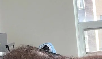 Bricked up This Hump Day