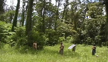 Bts-apex