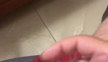 Gilbert’s Dick