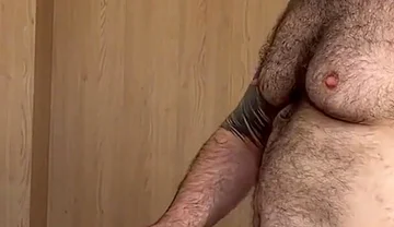 The Bear's Guest