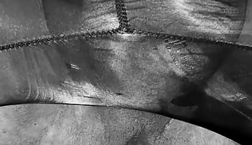 13 Inch Butt Plug Diameter in My Ass