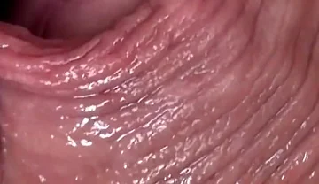 Cocksucker