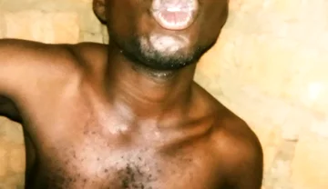 My Great Massaging and Maculation