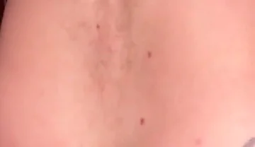 A Wolf Gets Fucked by a Bear