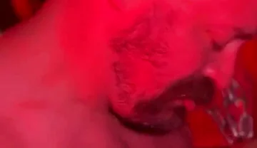 Bear Cruises the Dark Rooms
