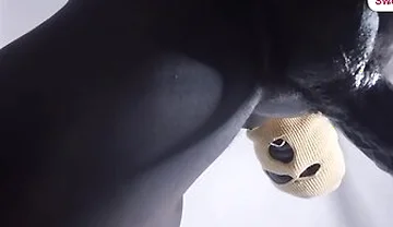 Huge Dick Fucking Black Asshole - Sweetpebx