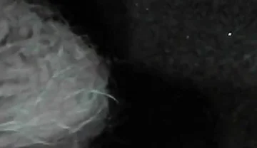 Arc of Sperm, Solo Amateur, Fountain