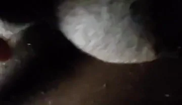 Spit on Your Genitals and Move and Ejaculate