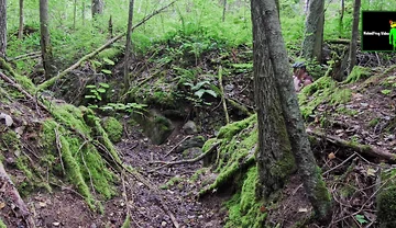 Gray Day Hiking