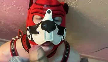 Top Fucks His Bitch With A Big Dick And Cums On Her Face