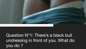 Bnwo Theory Test