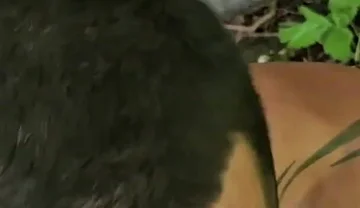 Sucked a Juicy Dick in Extreme