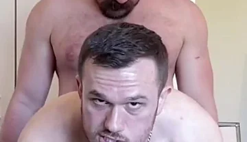Two Pigs Fuck on a Blanket