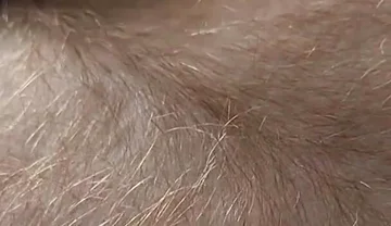 Anybody Want to Run Their Hands Over My Hairy Ginger Chest and Belly?