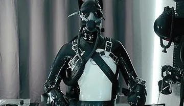 Rubber Pup Bound [pp Training]