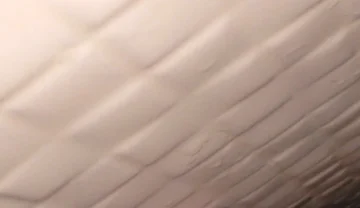 Wall or Your Body