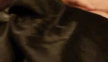 Slut's Cock and Tit Games
