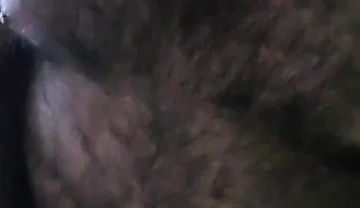 Bear Alone